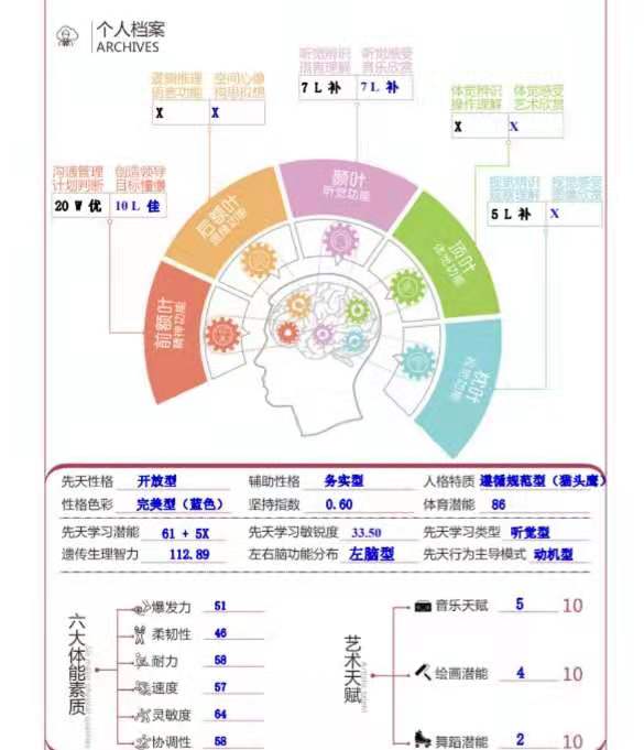 性格天赋测试:从指纹看天赋潜能